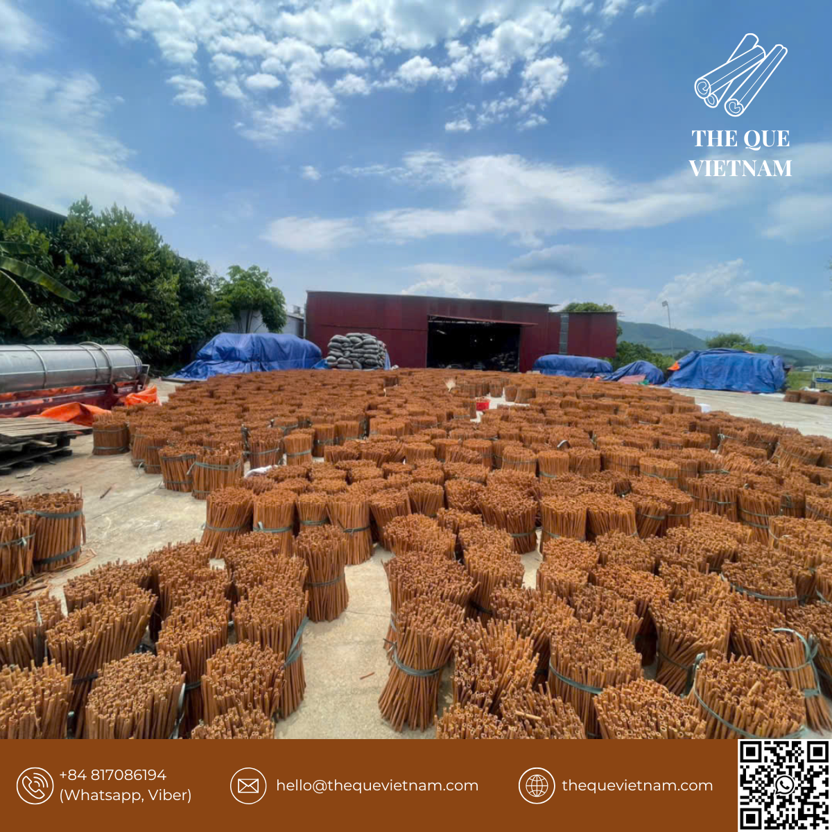 Cassia Cinnamon Sticks from Vietnam | Saigon Cinnamon Bulk Supply