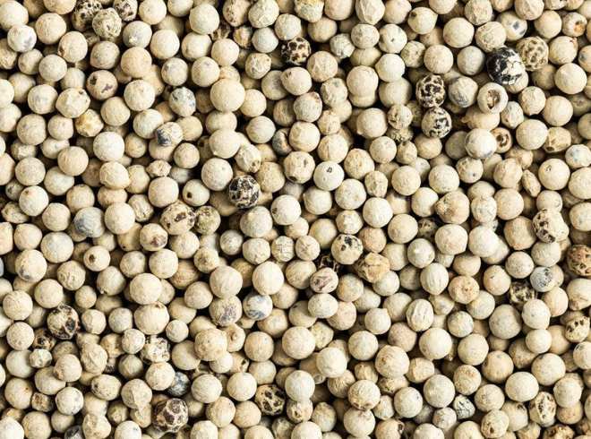 Bulk Vietnamese Black Pepper - FAQ and GEP grades for international spice importers.