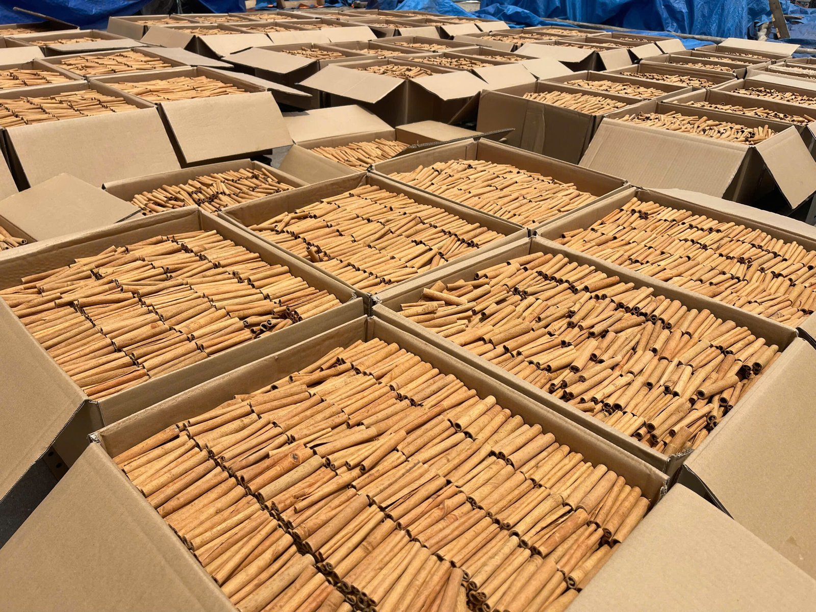 Cartons of Saigon cinnamon, ready for export