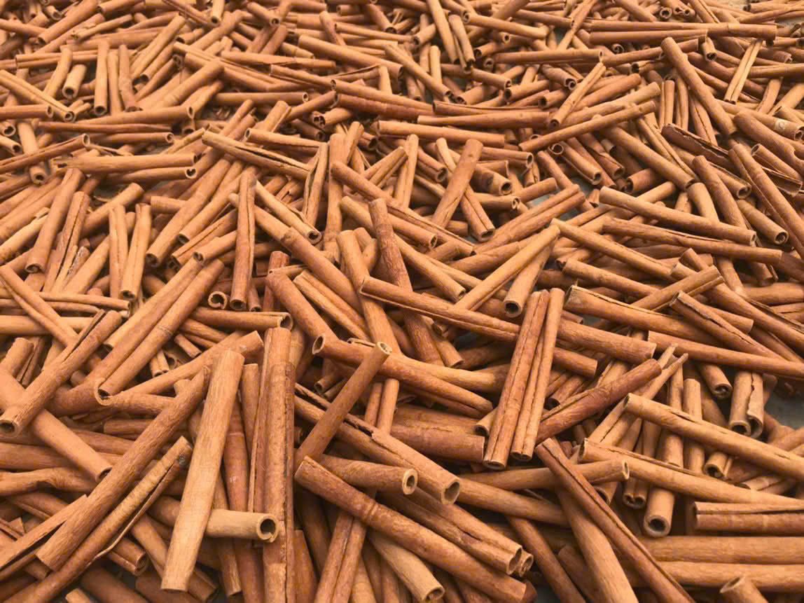 z7336818025382_5c724080cc5a9bf16bafd6b9420bece5