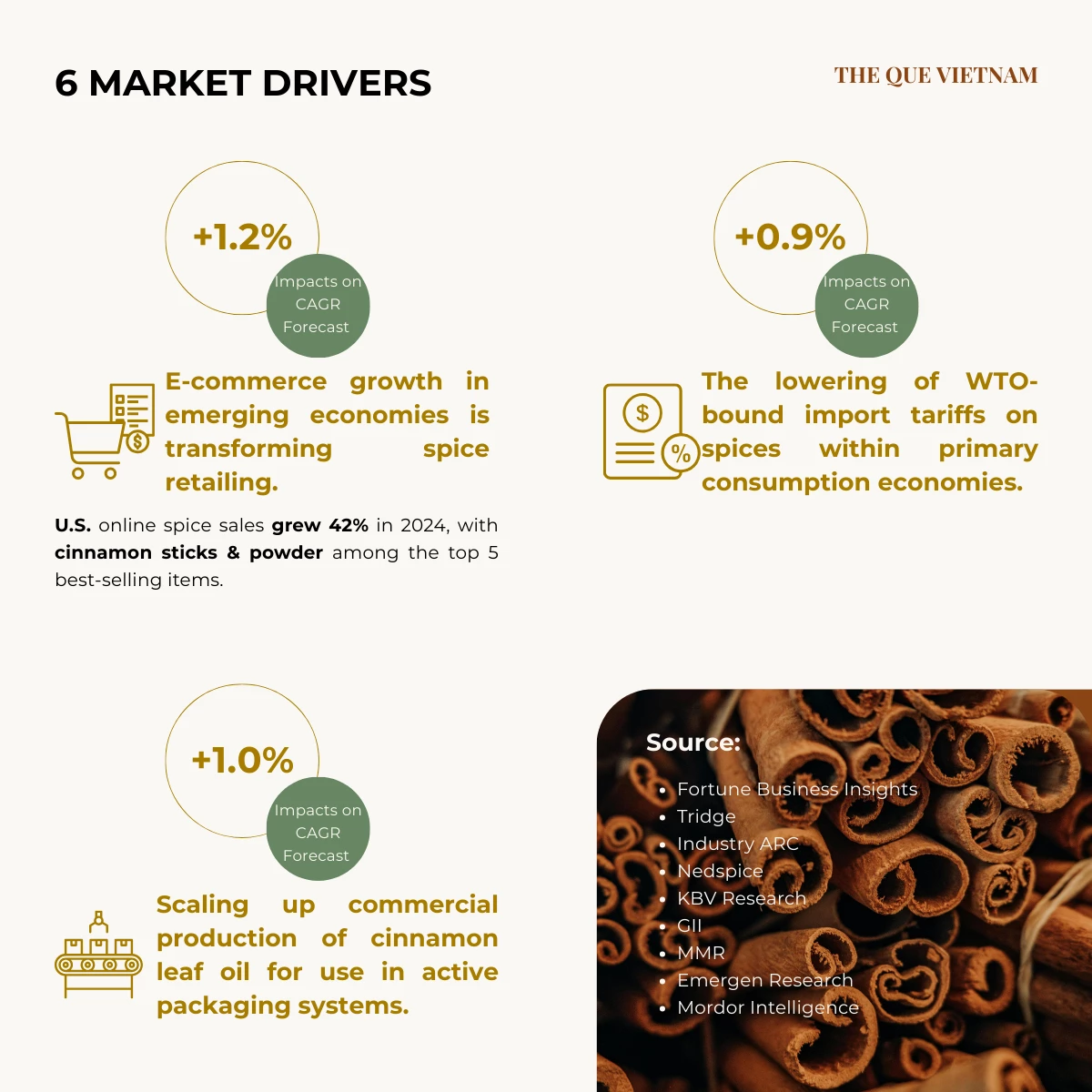 Cinnamon Export from Vietnam — What Buyers Look For