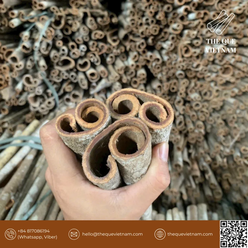 Vietnam cassia cinnamon
