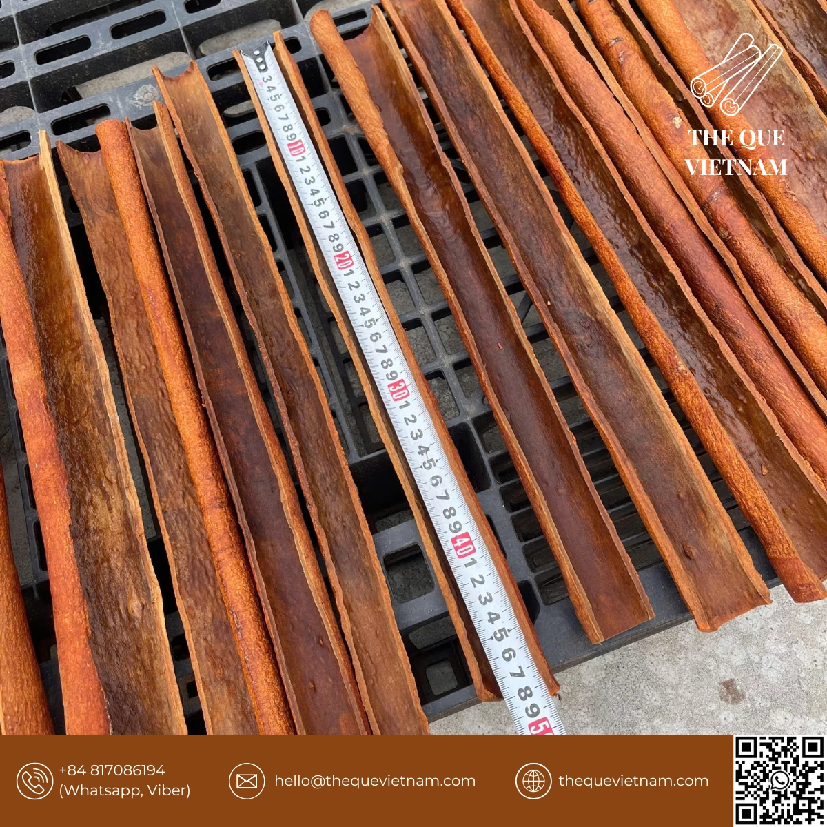 Cinnamon Supply Chain Explained: From Vietnam Farms to Export