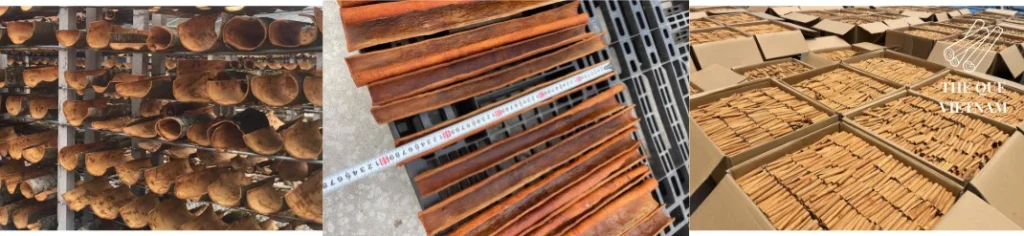 bulk cinnamon supplier