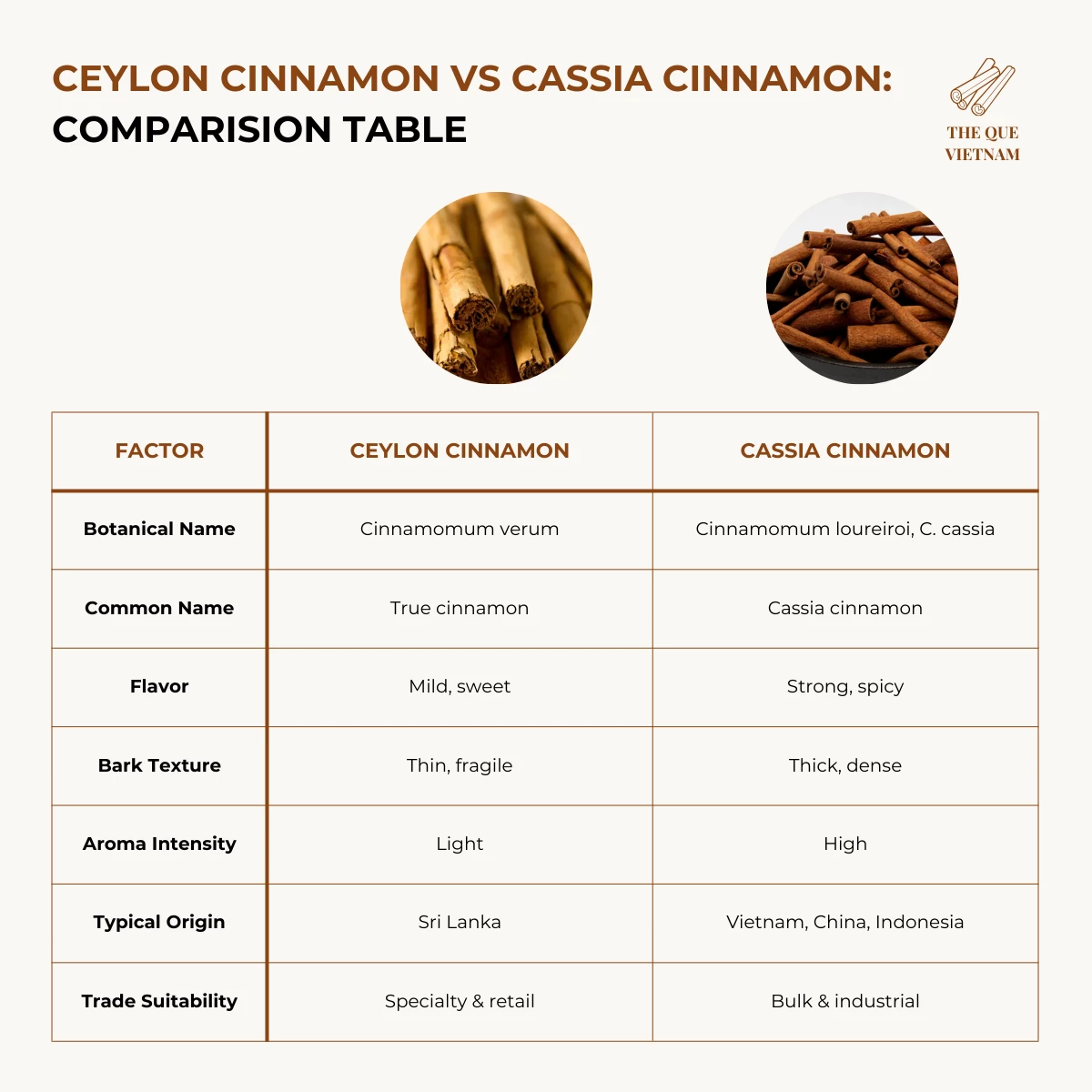 Ceylon Cinnamon vs Cassia Cinnamon: Key Differences for Bulk Buyers