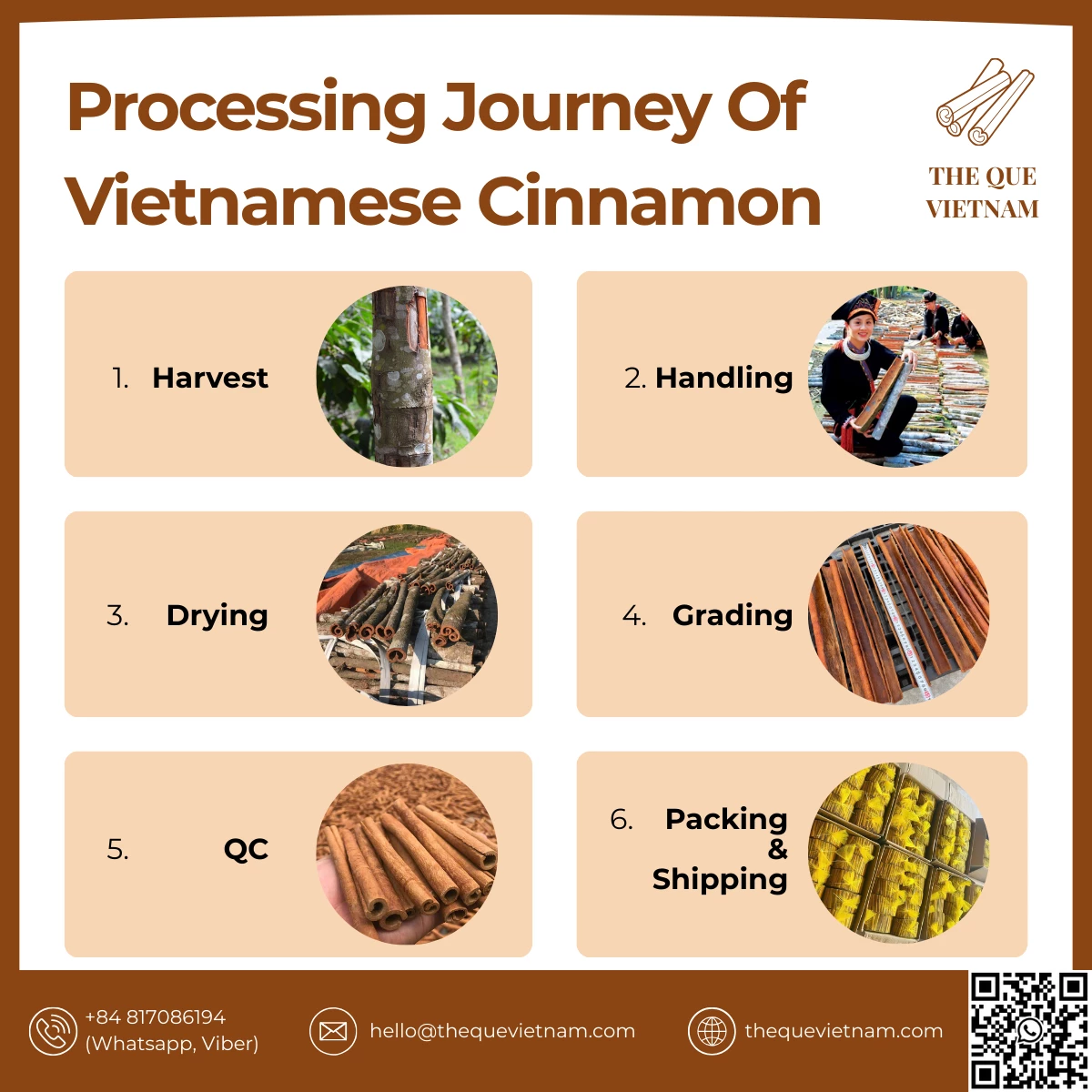 How Vietnamese Cinnamon is Processed for Export: A Buyer’s Guide to Drying, Grading & Packing