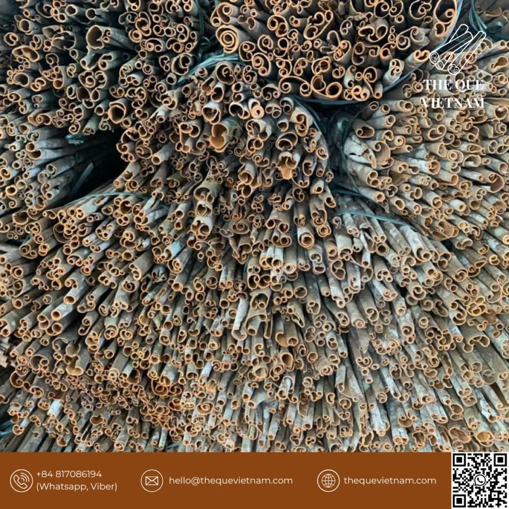 Cassia cinnamon tube cut Vietnam