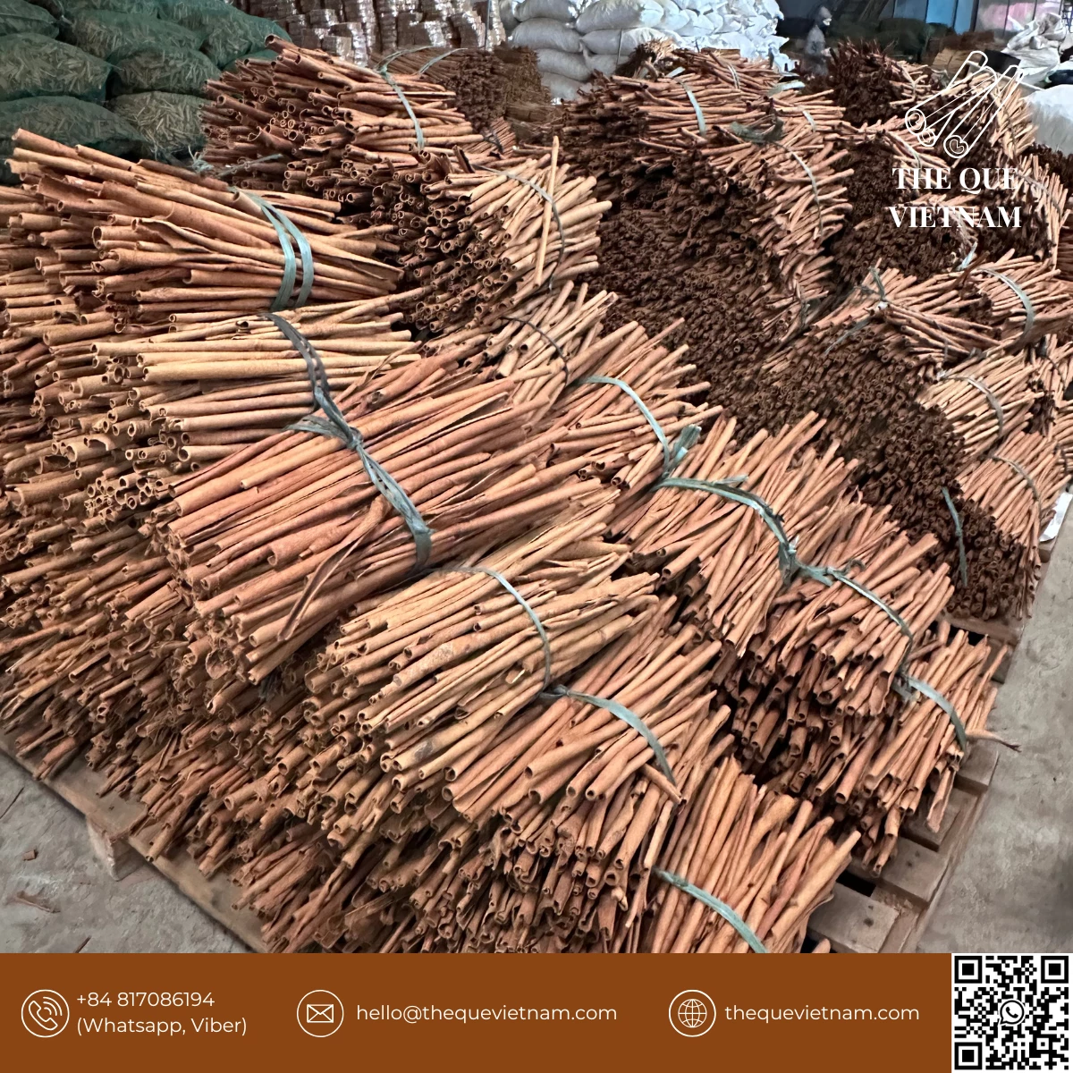 Cassia cinnamon sticks from Vietnam