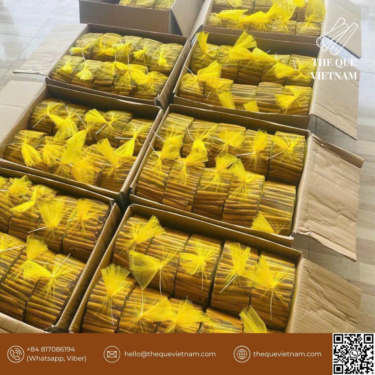 Cinnamon Supplier & Exporter from Vietnam | Bulk Cassia Supply