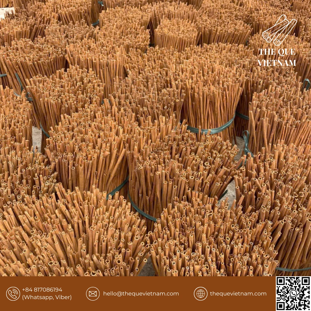 Sourcing Cinnamon from Vietnam: A Buyer’s Guide to Reliable Supply & Quality