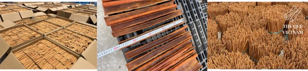 Vietnamese cinnamon for import