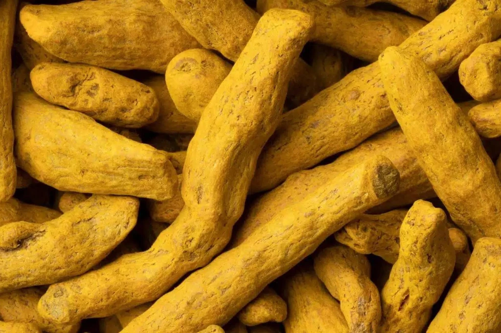 Dried Turmeric (Fingers)